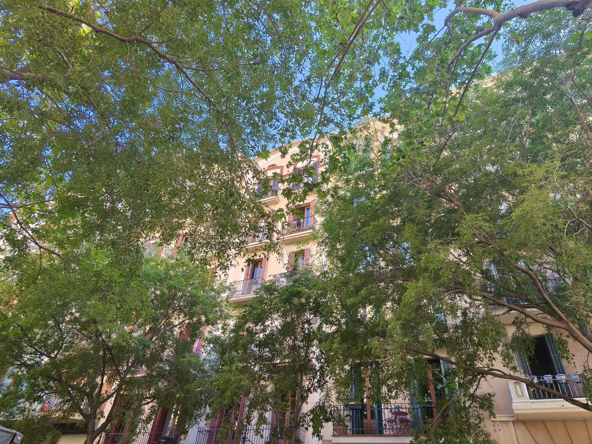 Imagen 16 Piso en venta en Barcelona / Sardenya - Plaça Sagrada Familia