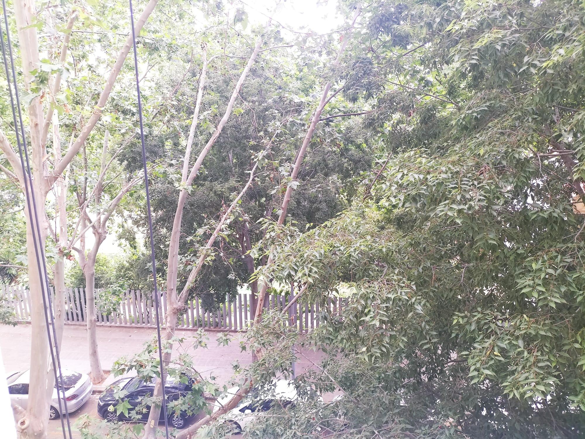 Imagen 28 Piso en venta en Barcelona / Enamorats entre Padilla y Lepant