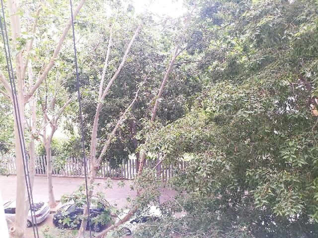 Imagen 28 Inmueble 303830 - Piso en venta en Barcelona / Enamorats entre Padilla y Lepant
