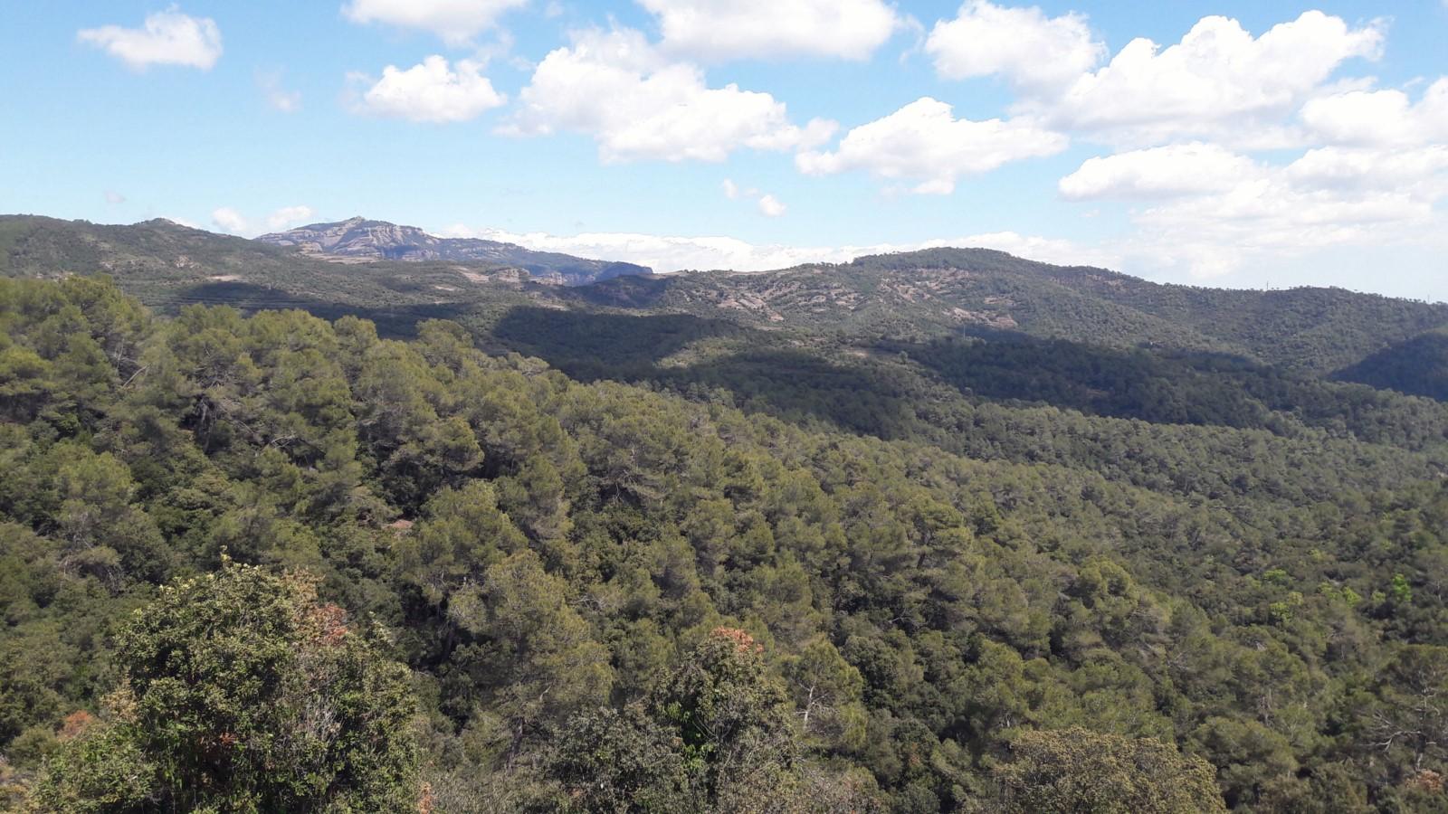 Imagen 5 Casa en venta en Terrassa / Casa a estrenar en Can Palet de Vistalegre
