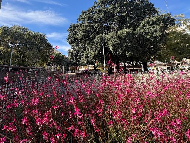 Imagen 8 Inmueble 302469 - Piso en venta en Terrassa / Junto a la Rambla d´ Ègara