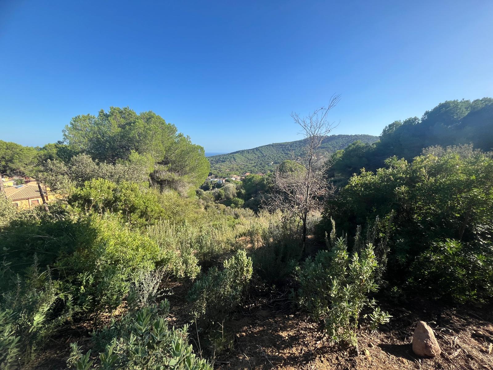 Imagen 4 Solar Urbano en venta en Argentona / Terreno en urbanización can barrau ii 5 min del centro