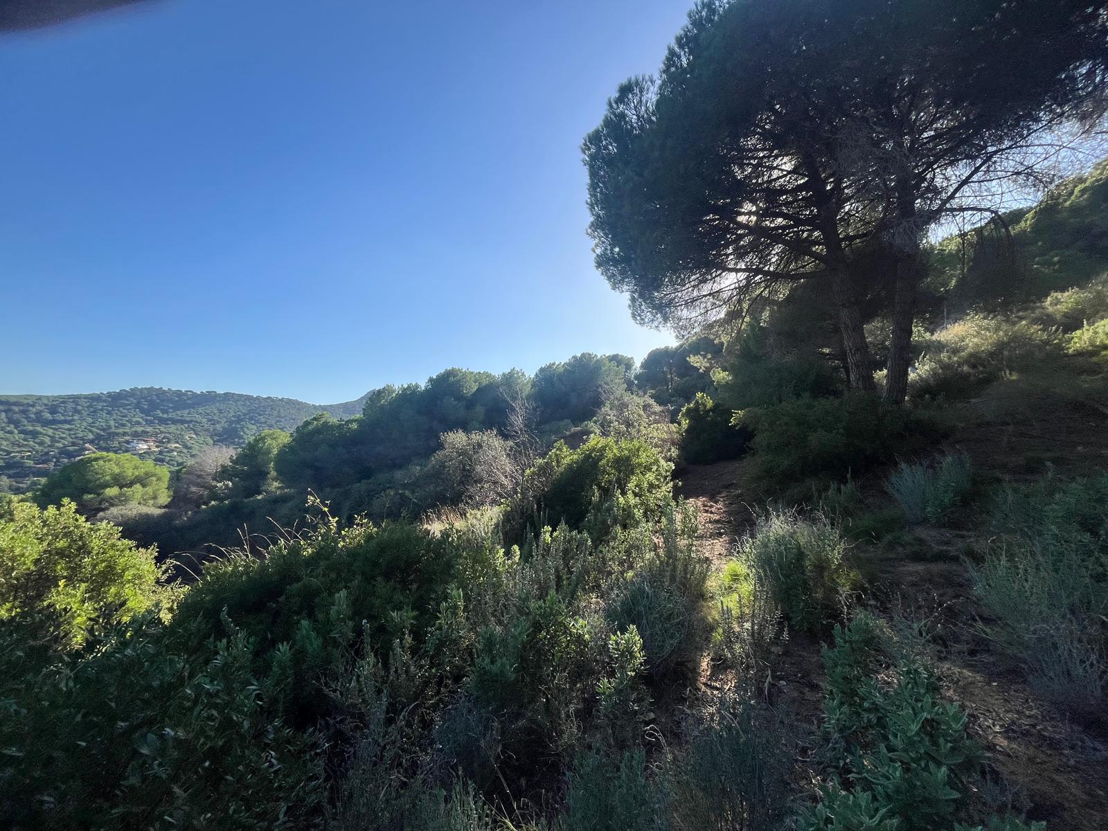 Imagen 5 Solar Urbano en venta en Argentona / Terreno en urbanización can barrau ii 5 min del centro