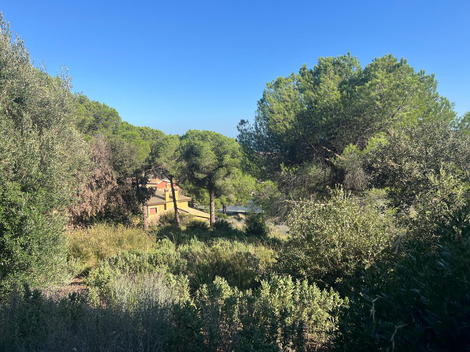 Imagen 2 Solar Urbano en venta en Argentona / Terreno en urbanización can barrau ii 5 min del centro