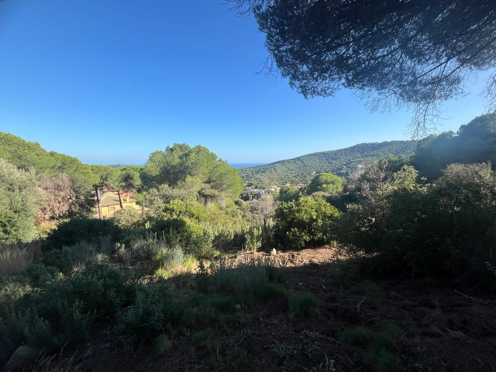 Imagen 3 Solar Urbano en venta en Argentona / Terreno en urbanización can barrau ii 5 min del centro