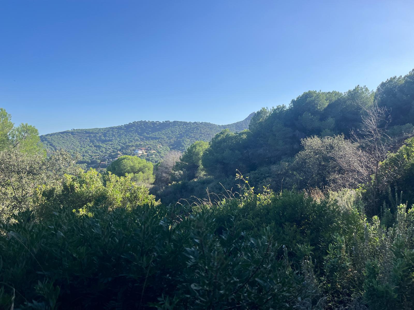 Imagen 7 Solar Urbano en venta en Argentona / Terreno en urbanización can barrau ii 5 min del centro