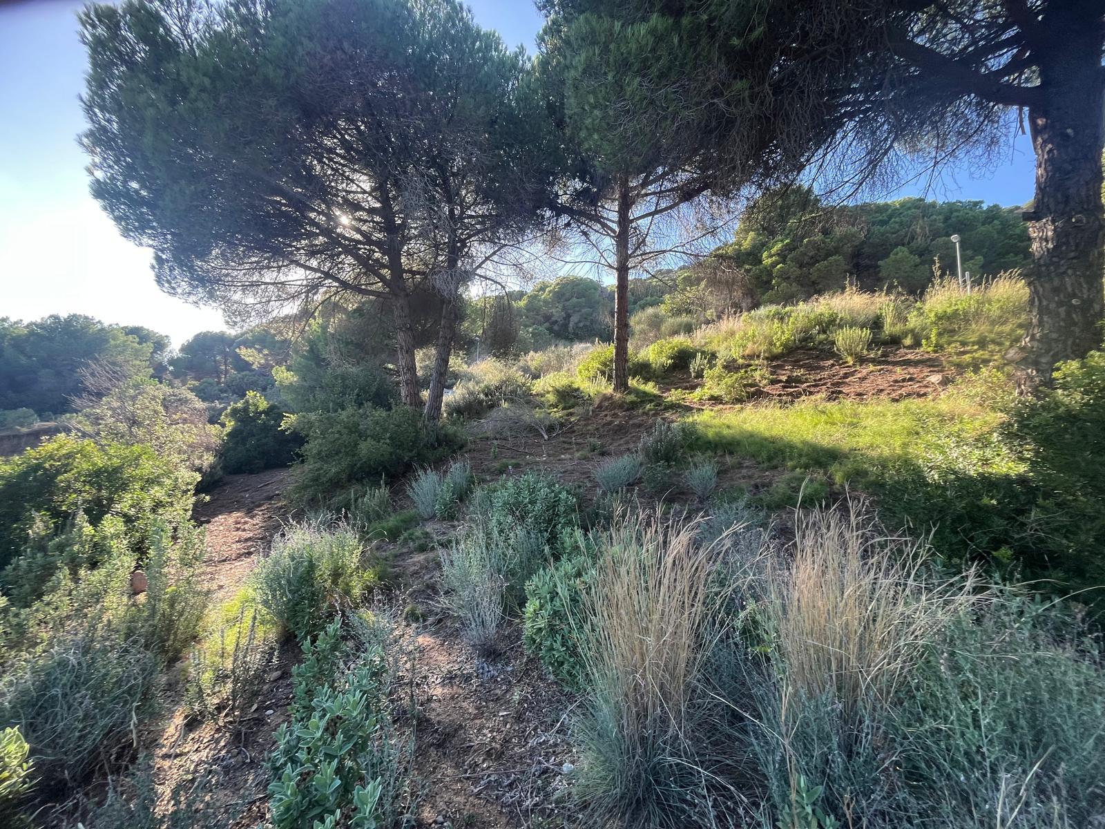 Imagen 9 Solar Urbano en venta en Argentona / Terreno en urbanización can barrau ii 5 min del centro