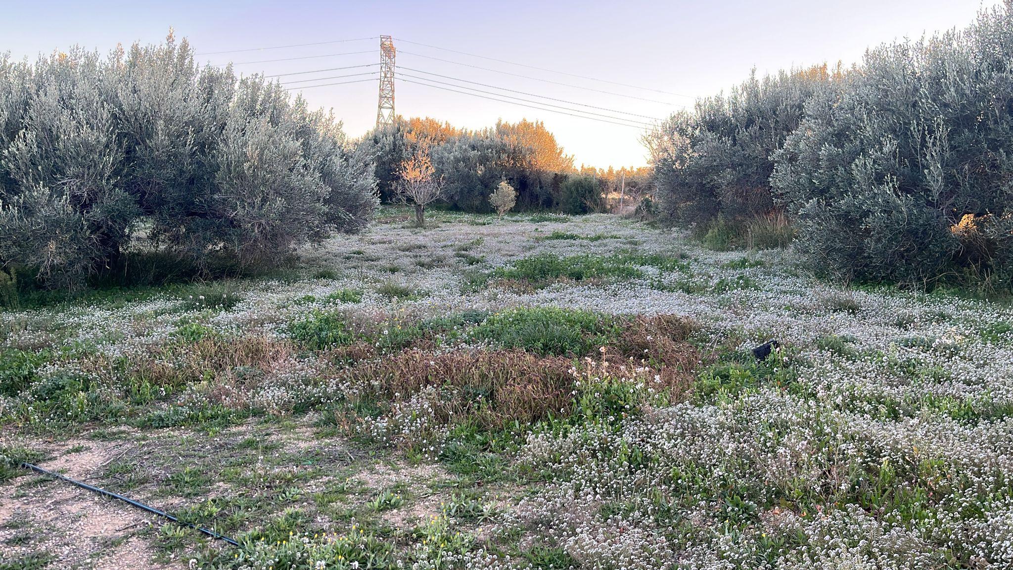 Imagen 2 Casa Rústica en venta en Vilabella / A pocos minutos del ayuntamiento