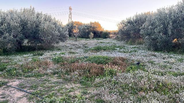 Imagen 2 Inmueble 299082 - Casa Rústica en venta en Vilabella / A pocos minutos del ayuntamiento