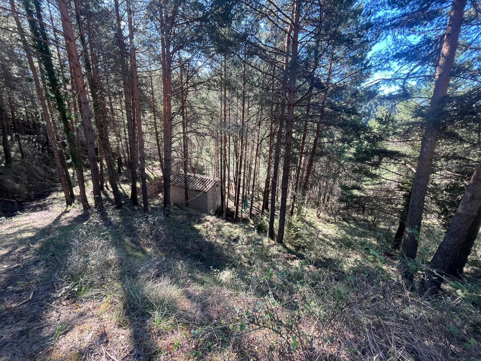 Imagen 1 Casa Aislada en venta en Castell De L´areny / Entorno rural tranquilo en castell de l?areny