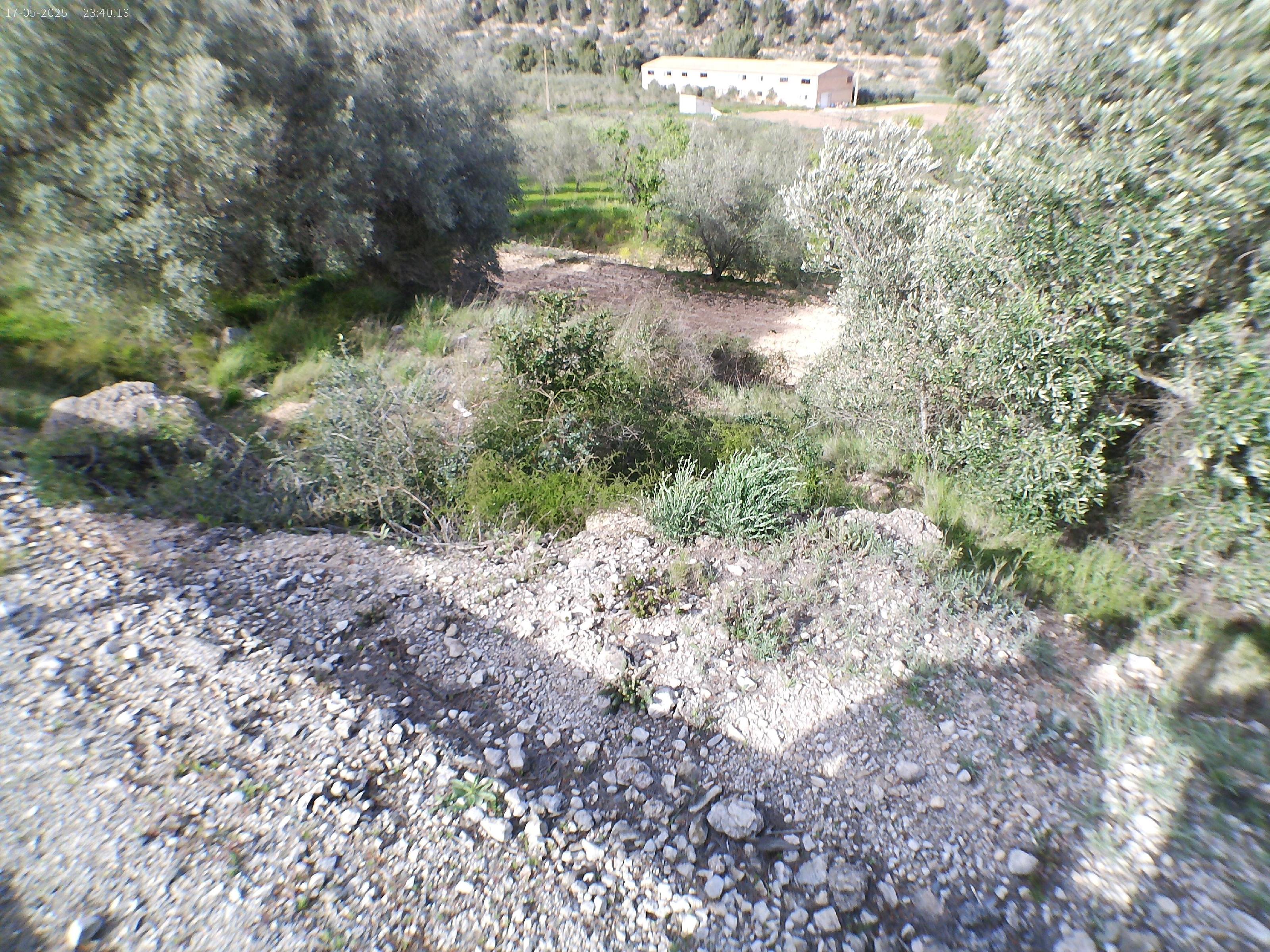 Imagen 2 Solar Rústico en venta en Pinell De Brai El / Zona rural tranquila en el Pinell de Brai.
