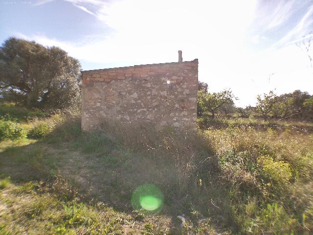 Imagen 2 Inmueble 302146 - Solar Rústico en venta en Pinell De Brai (El) / Zona rural tranquila en el Pinell de Brai.