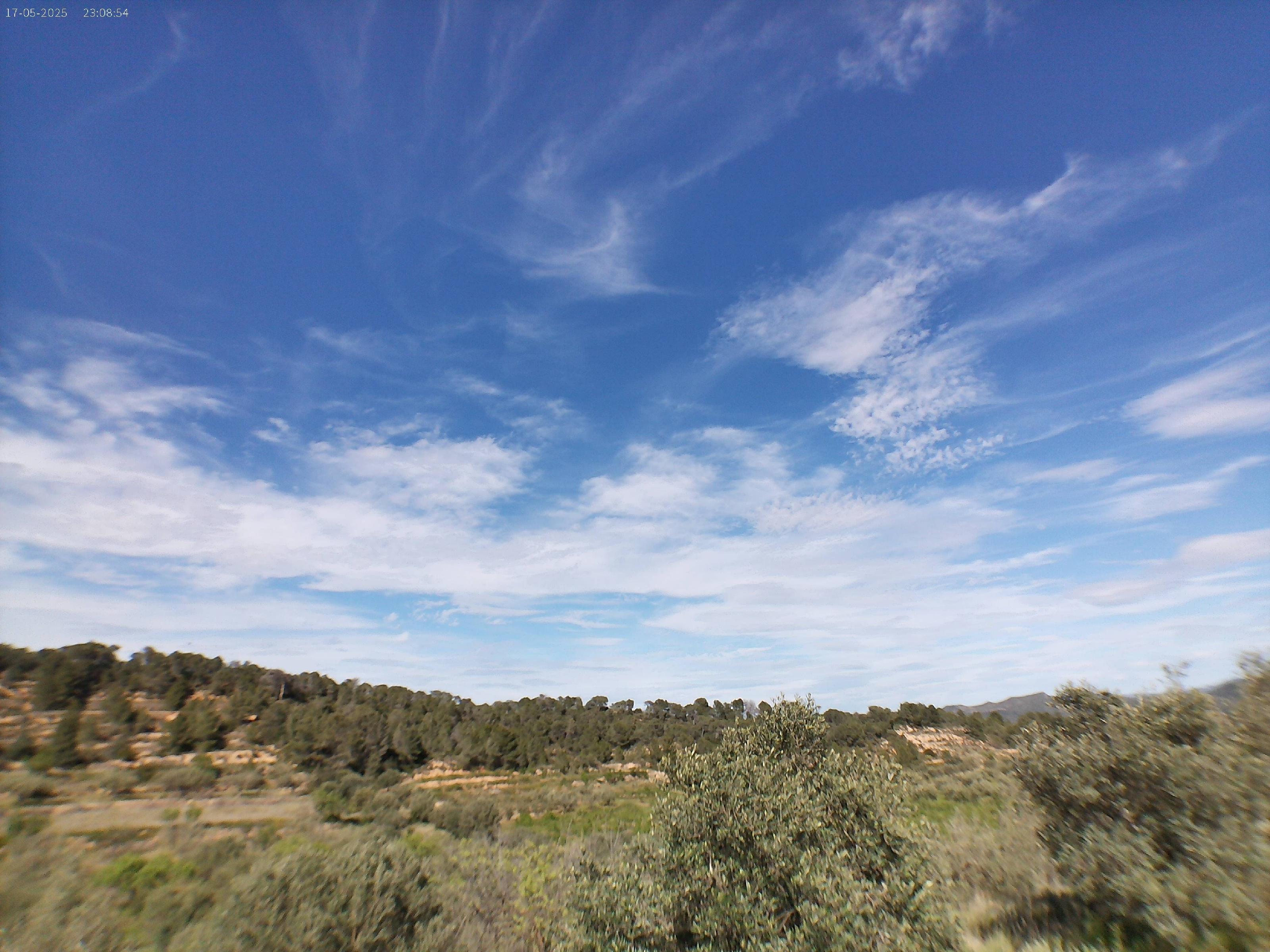 Imagen 2 Solar Rústico en venta en Pinell De Brai El / Zona rural tranquila en el Pinell de Brai.