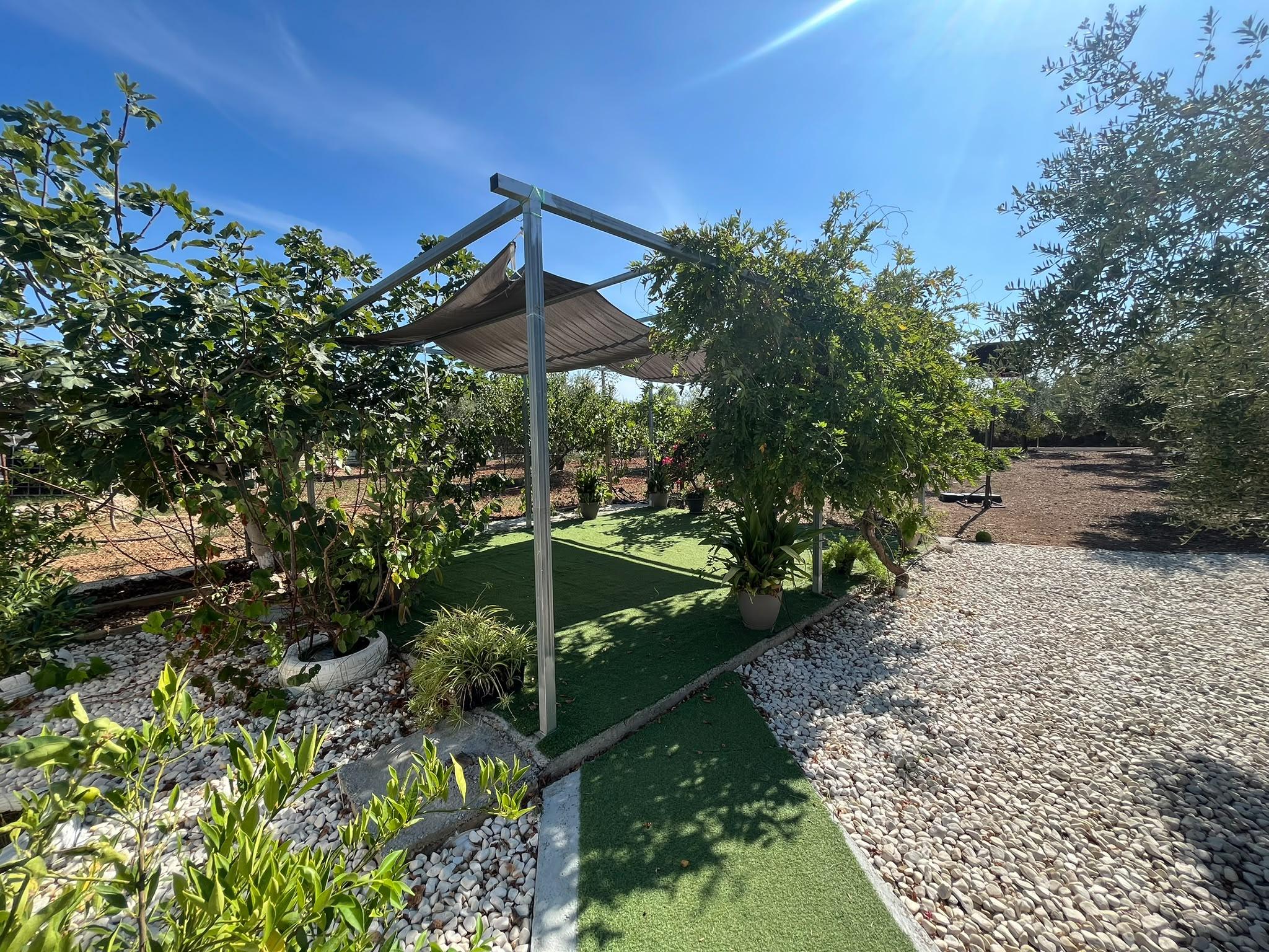 Imagen 12 Casa en venta en Mont-roig Del Camp / Terreno con casa en Mont- Roig del camp Tarragona