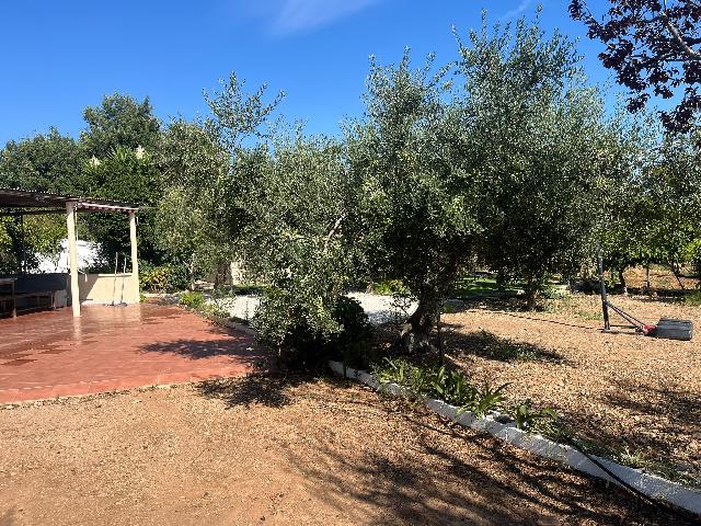 Imagen 6 Inmueble 305861 - Casa en venta en Mont-roig Del Camp / Terreno con casa en Mont- Roig del camp Tarragona