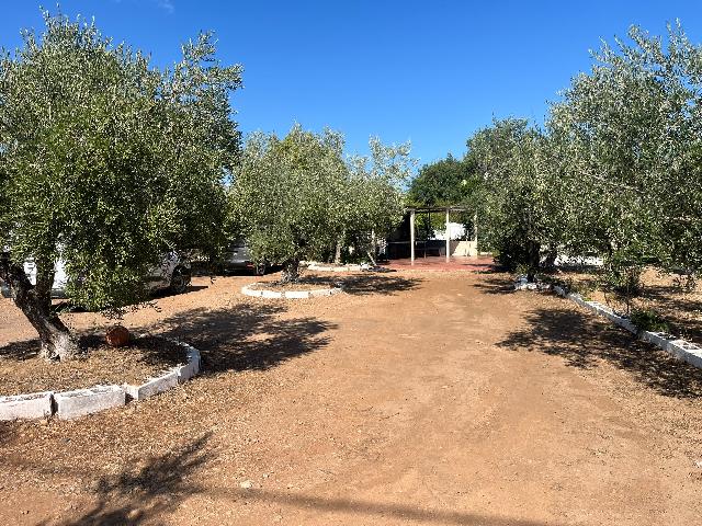 Imagen 13 Inmueble 305861 - Casa en venta en Mont-roig Del Camp / Terreno con casa en Mont- Roig del camp Tarragona