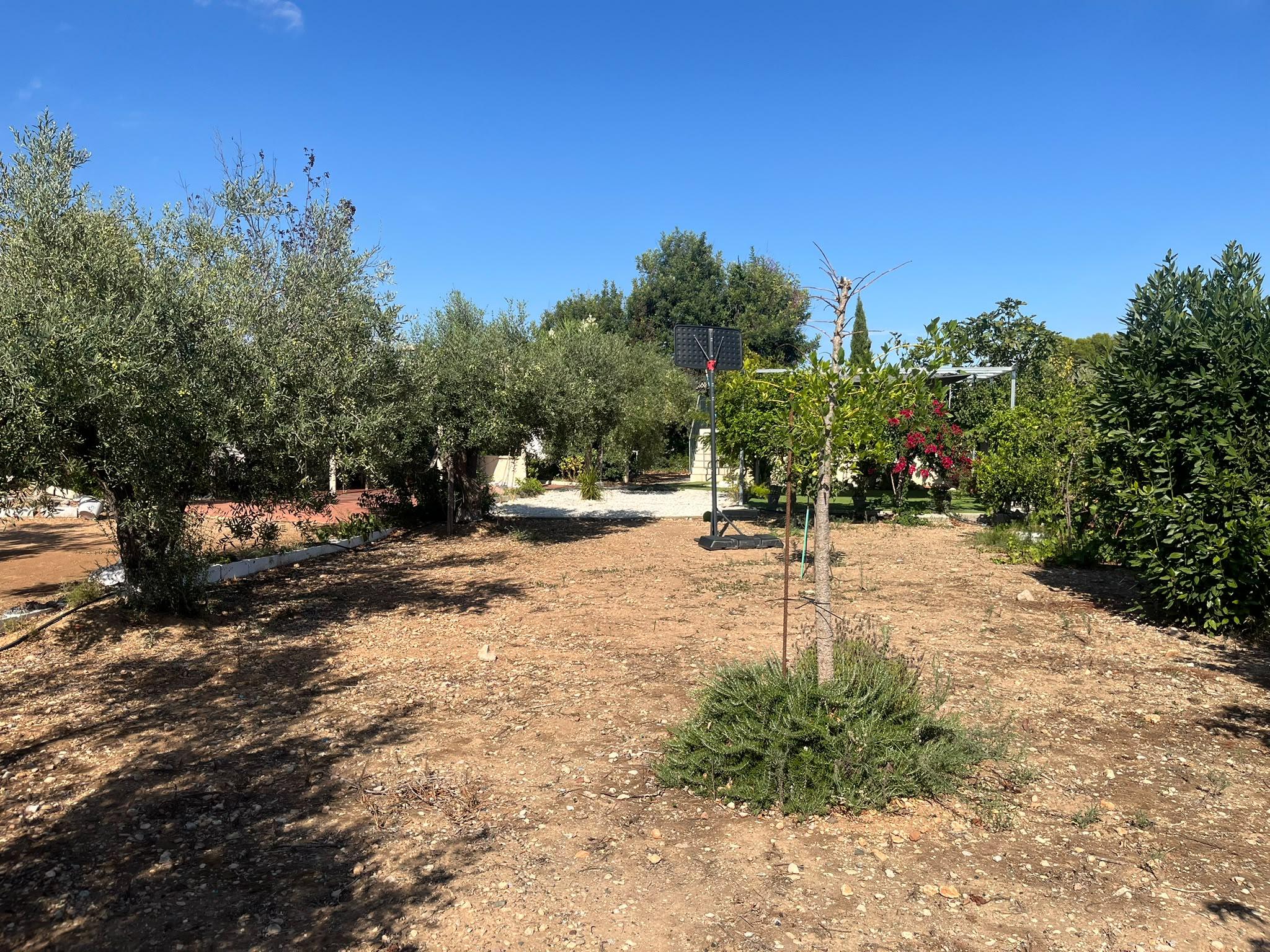 Imagen 15 Casa en venta en Mont-roig Del Camp / Terreno con casa en Mont- Roig del camp Tarragona
