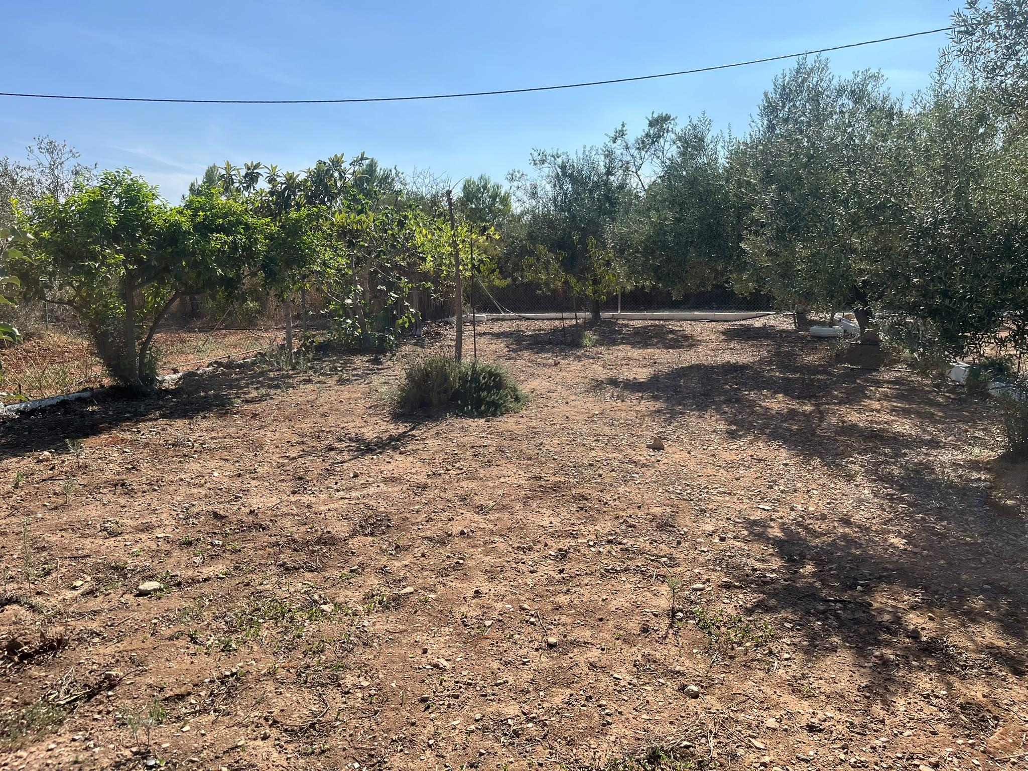 Imagen 16 Casa en venta en Mont-roig Del Camp / Terreno con casa en Mont- Roig del camp Tarragona