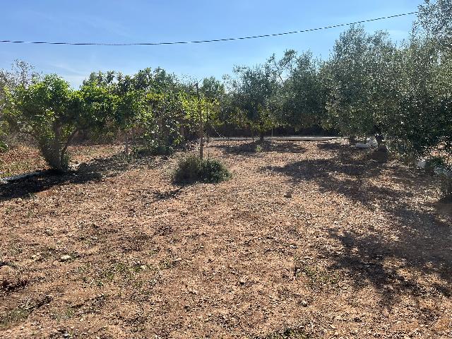 Imagen 16 Inmueble 305861 - Casa en venta en Mont-roig Del Camp / Terreno con casa en Mont- Roig del camp Tarragona