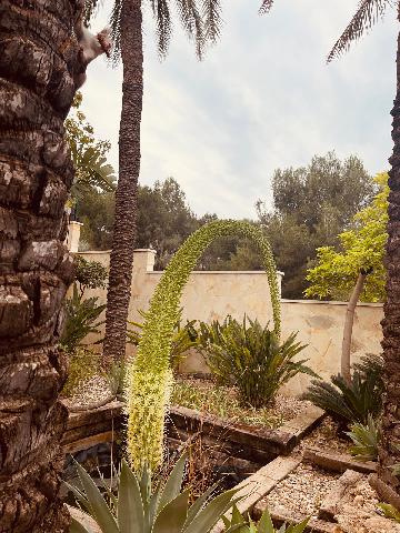 Imagen 4 Inmueble 300367 - Casa en venta en Murcia / En la urbanización Montepinar 