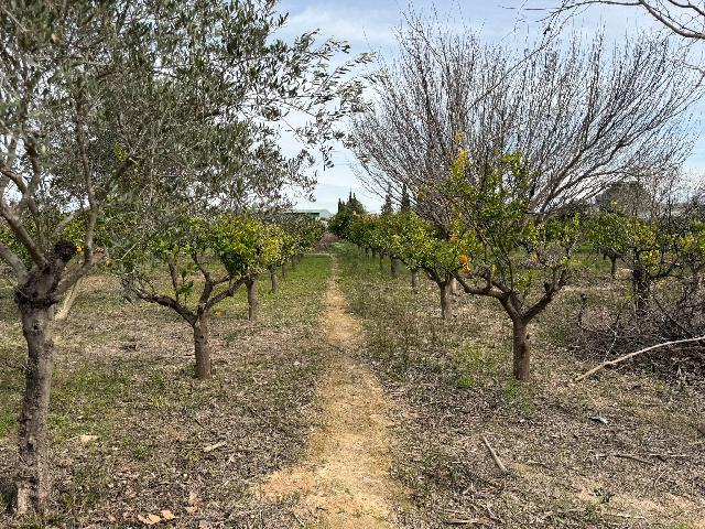 Imagen 7 Inmueble 300525 - Solar Urbano en venta en Torres De Cotillas (Las) / En Los Matías, en la huerta de las T. ...