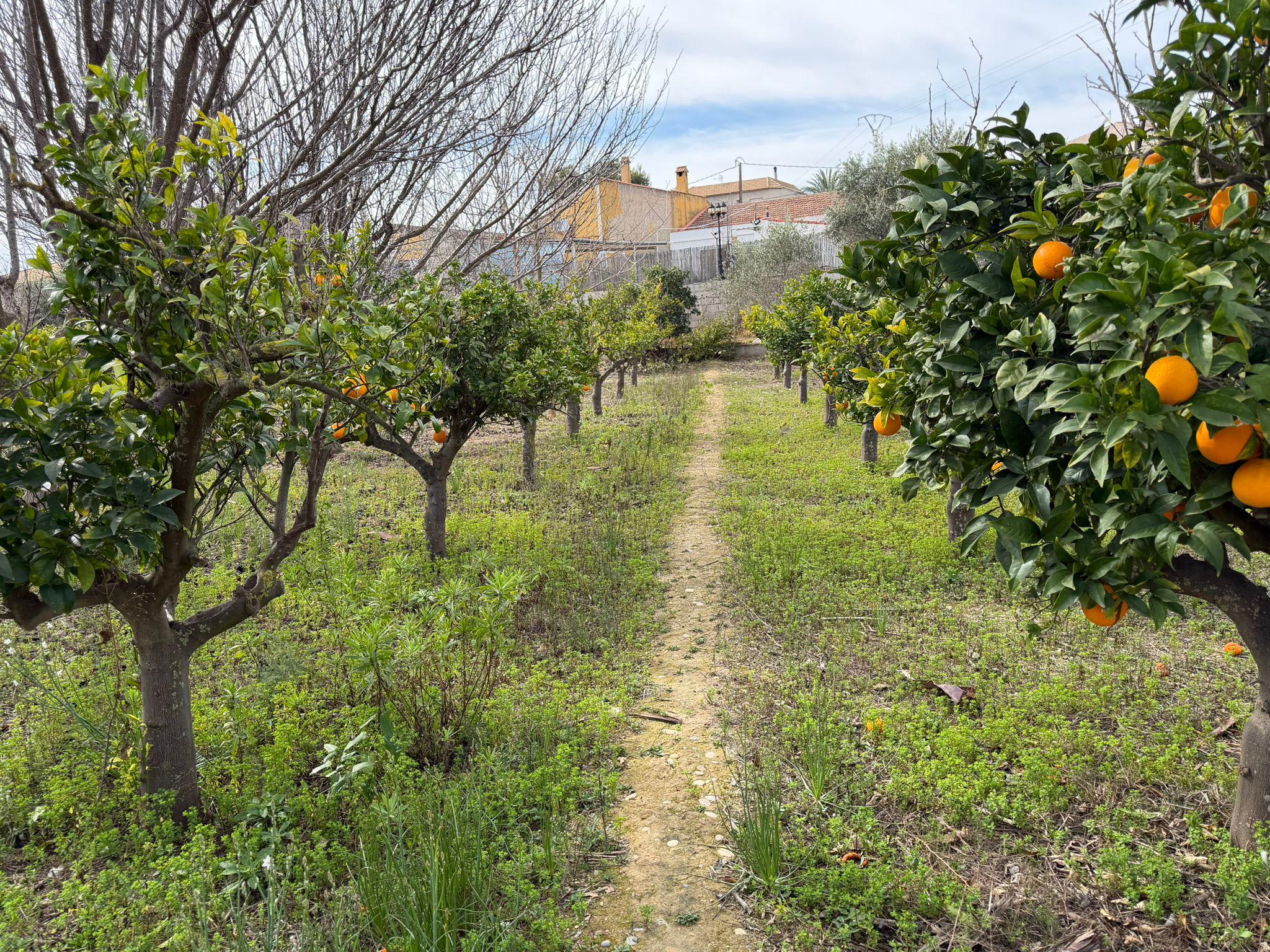 Imagen 5 Solar Urbano en venta en Torres De Cotillas Las / En Los Matías, en la huerta de las T. ...