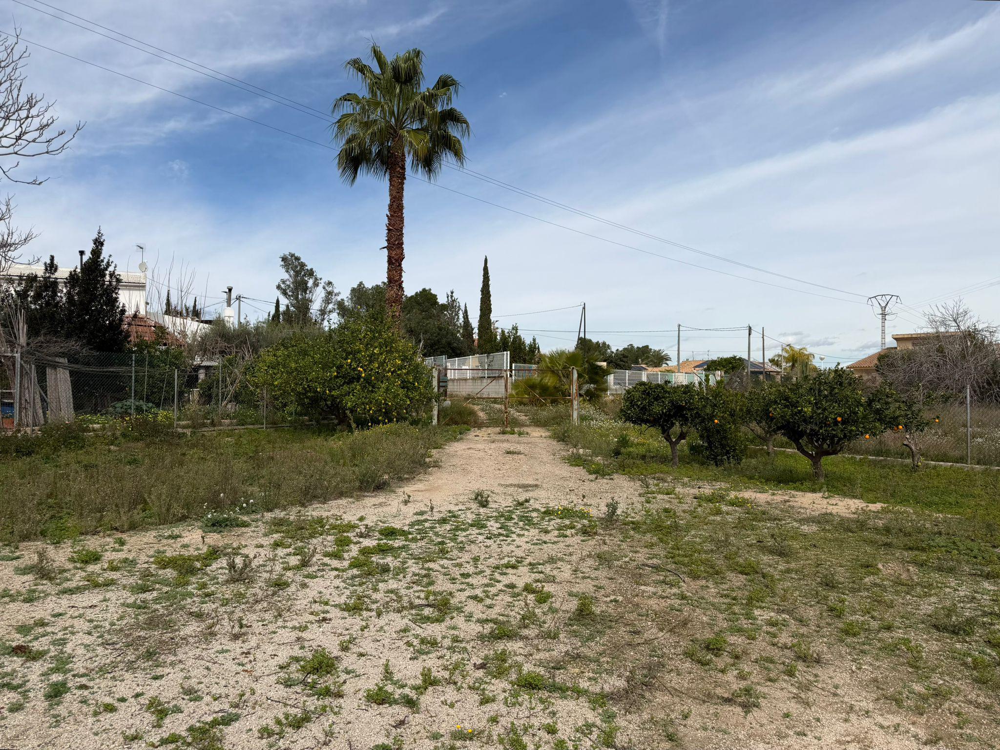 Imagen 1 Solar Urbano en venta en Torres De Cotillas Las / En Los Matías, en la huerta de las T. ...