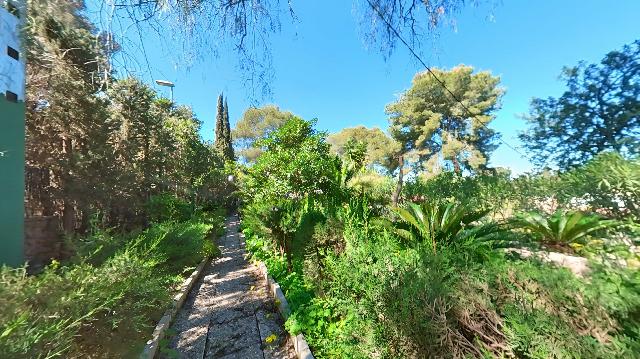 Imagen 66 Inmueble 300959 - Casa Rústica en venta en Murcia / En Santo Ángel, a 15 minutos de Murcia capital