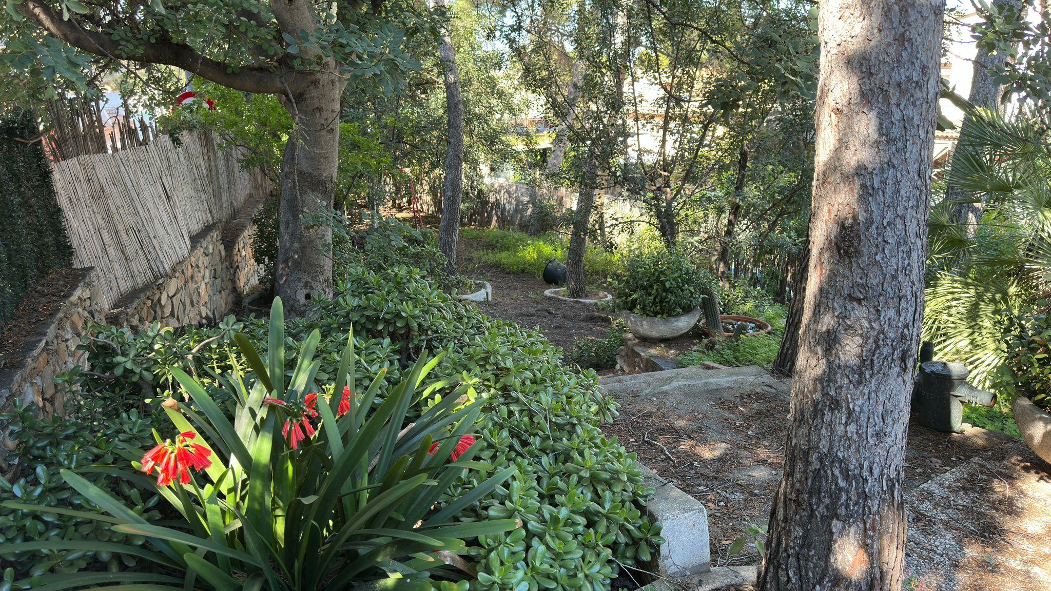 Imagen 4 Casa Rústica en venta en Murcia / En Santo Ángel, a 15 minutos de Murcia capital