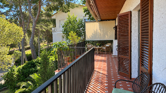 Imagen 16 Inmueble 300959 - Casa Rústica en venta en Murcia / En Santo Ángel, a 15 minutos de Murcia capital