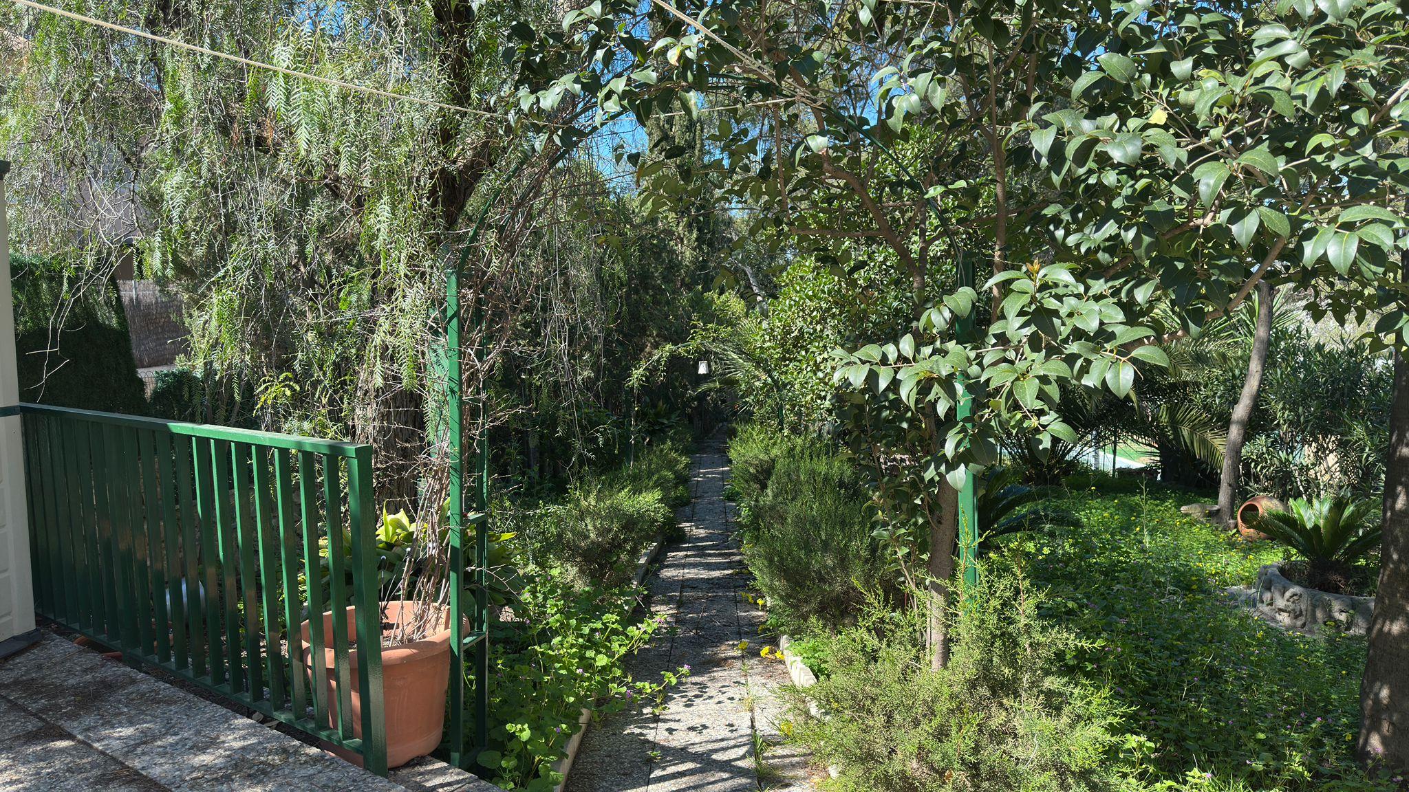 Imagen 6 Casa Rústica en venta en Murcia / En Santo Ángel, a 15 minutos de Murcia capital