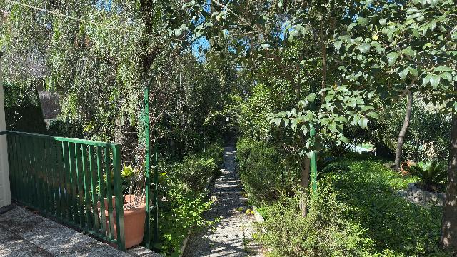 Imagen 6 Inmueble 300959 - Casa Rústica en venta en Murcia / En Santo Ángel, a 15 minutos de Murcia capital