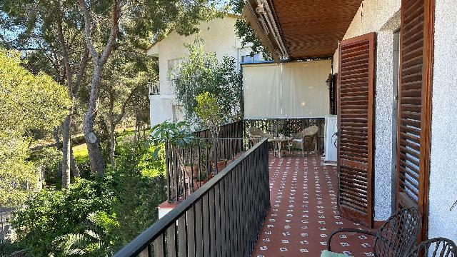 Imagen 20 Inmueble 300959 - Casa Rústica en venta en Murcia / En Santo Ángel, a 15 minutos de Murcia capital