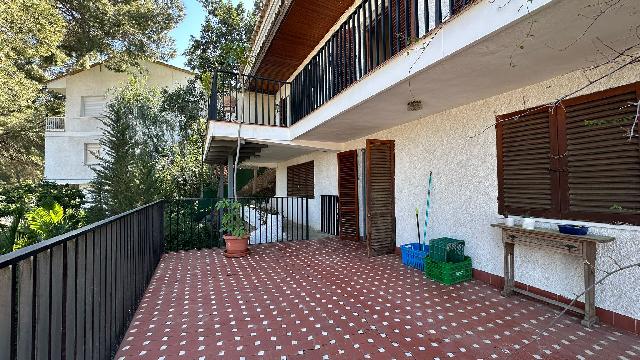 Imagen 21 Inmueble 300959 - Casa Rústica en venta en Murcia / En Santo Ángel, a 15 minutos de Murcia capital