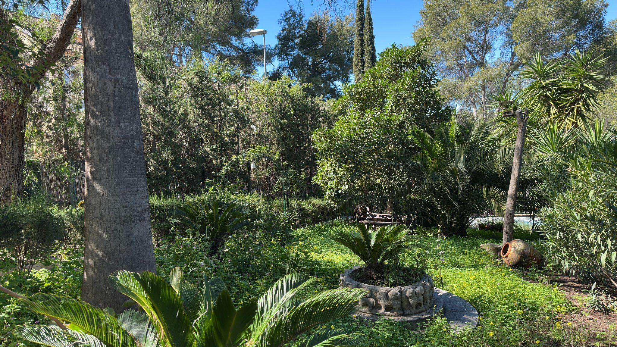 Imagen 5 Casa Rústica en venta en Murcia / En Santo Ángel, a 15 minutos de Murcia capital