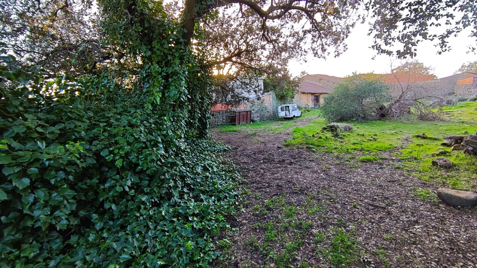 Imagen 21 Casa Pareada en venta en Aceituna / Casa de pueblo, en Aceituna  Cáceres