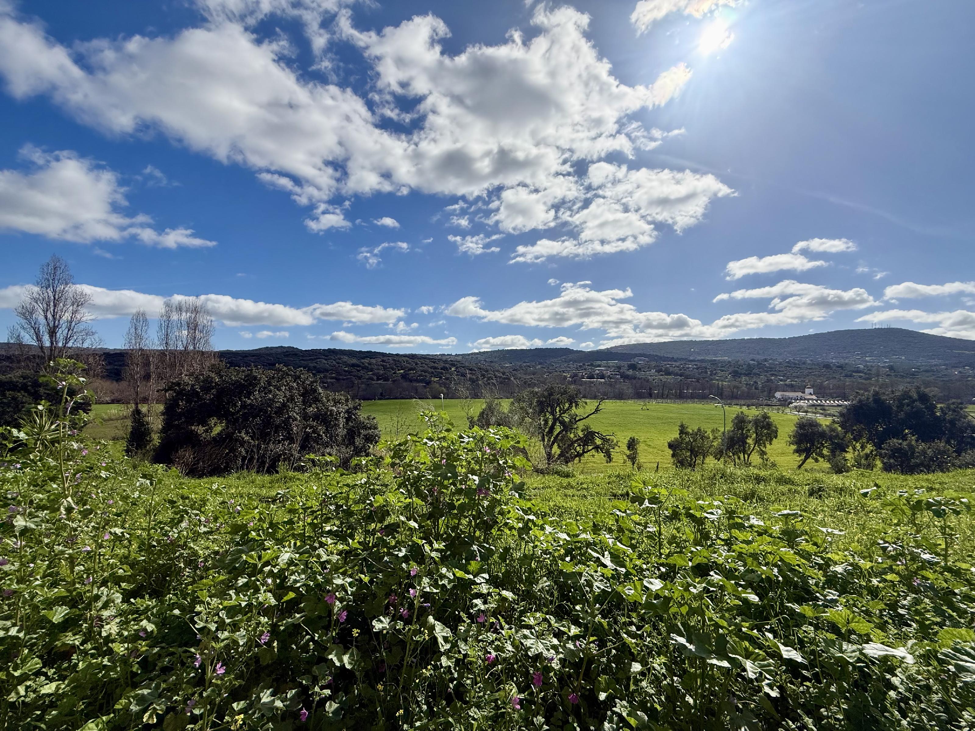 Imagen 20 Piso en venta en Plasencia / Zona norte - urbanizaciones - Carrefour