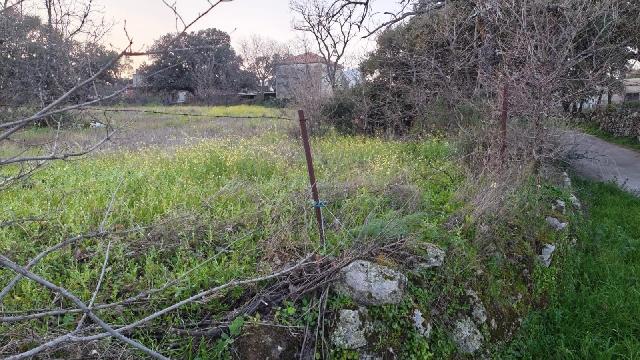 Imagen 2 Inmueble 301159 - Solar Rústico en venta en Aceituna / Finca rústica en el paraje de las Barrigadillas