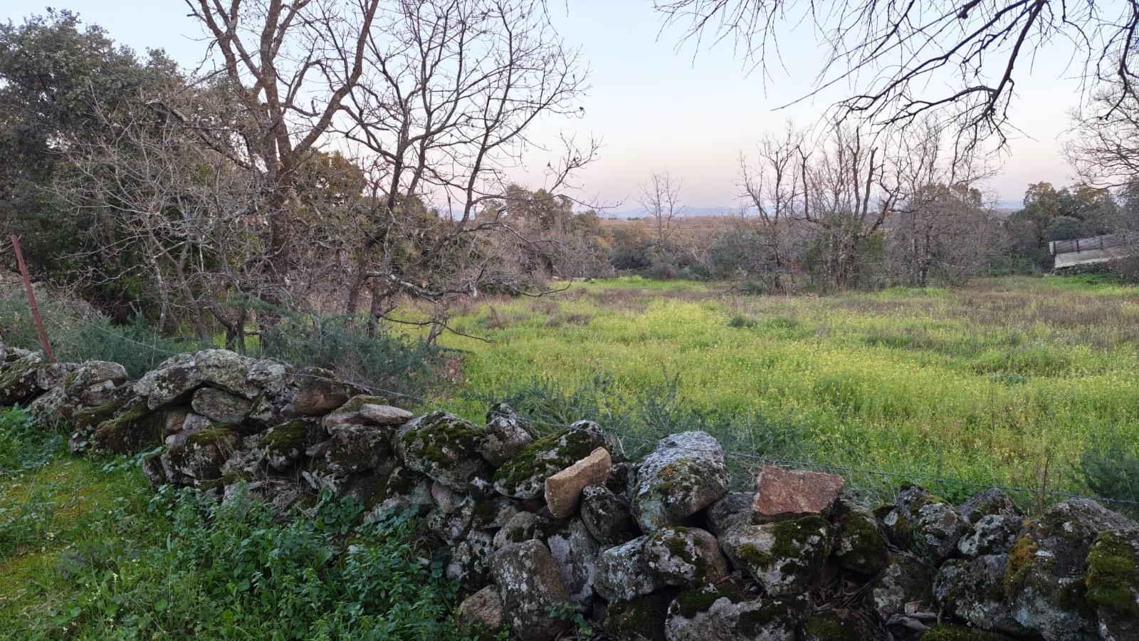 Imagen 1 Solar Rústico en venta en Aceituna / Finca rústica en el paraje de las Barrigadillas