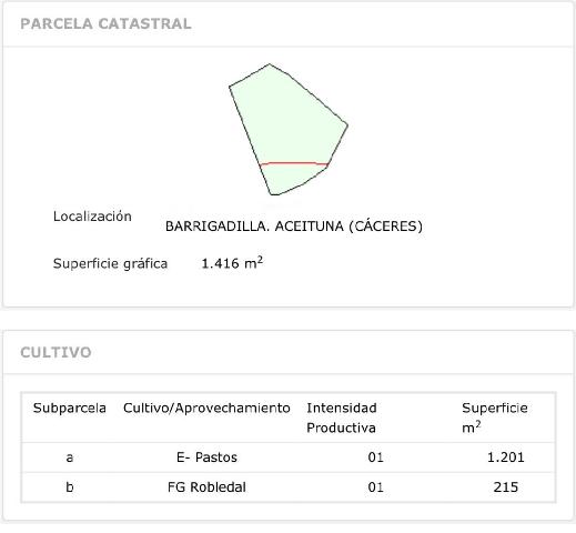 Imagen 5 Inmueble 301159 - Solar Rústico en venta en Aceituna / Finca rústica en el paraje de las Barrigadillas