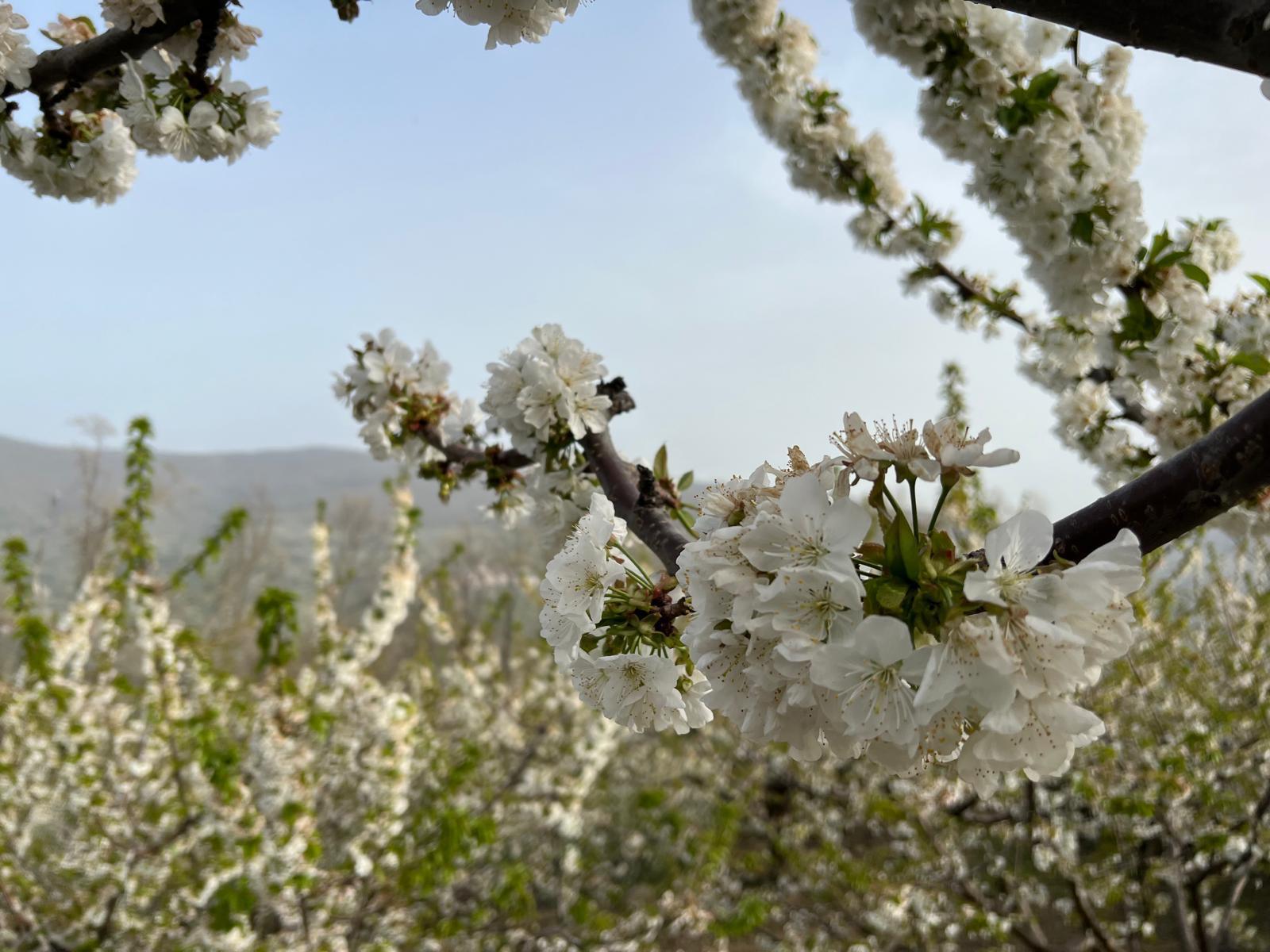 Imagen 21 Casa en venta en Torno El / En la zona centro del pueblo