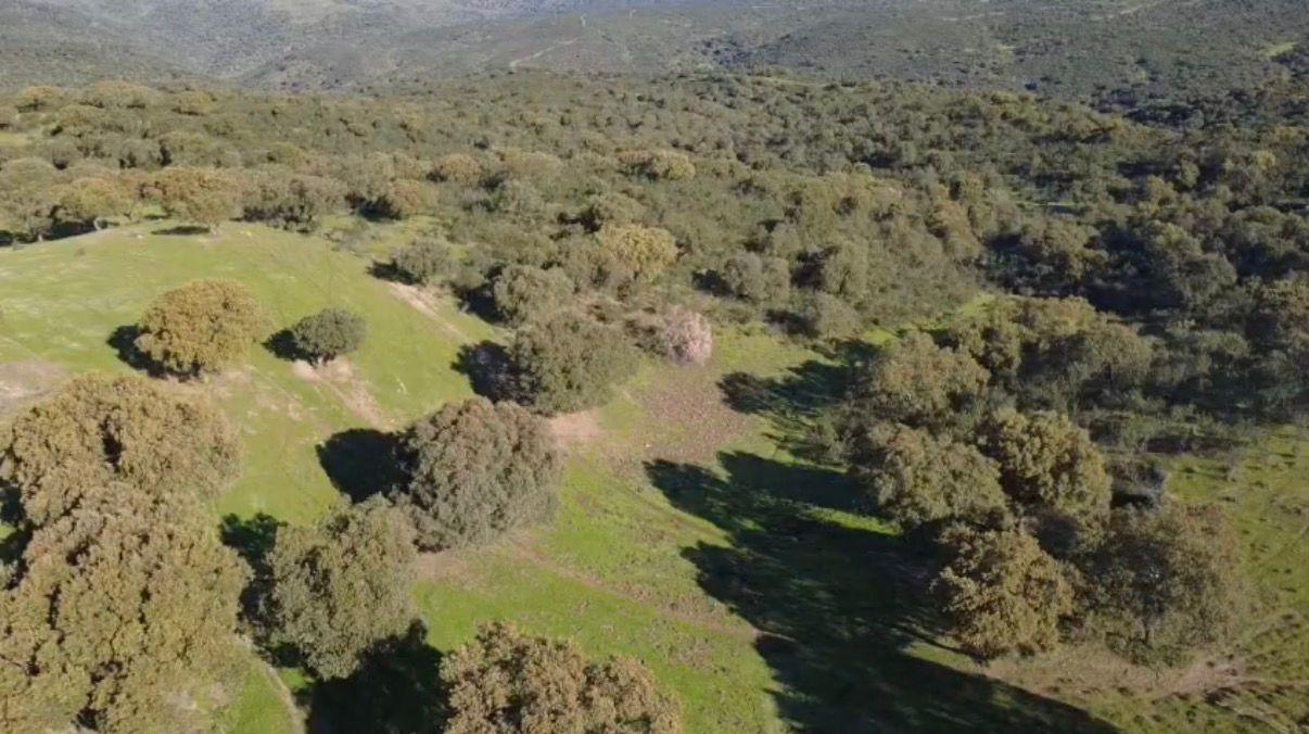 Imagen 4 Solar Rústico en venta en Alcántara / Finca dehesa de 325 hectáreas en Estornino - Alcántara