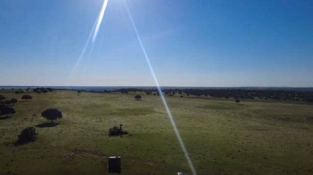 Imagen 5 Inmueble 301893 - Solar Rústico en venta en Alcántara / Finca dehesa de 325 hectáreas en Estornino - Alcántara