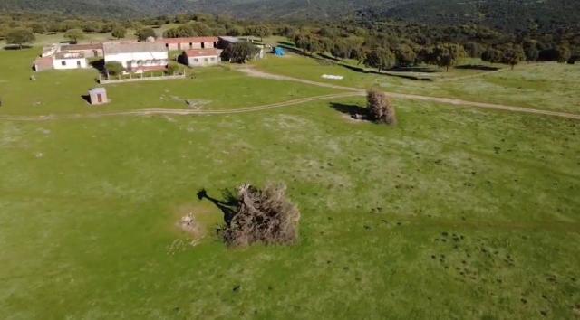 Imagen 2 Inmueble 301893 - Solar Rústico en venta en Alcántara / Finca dehesa de 325 hectáreas en Estornino - Alcántara