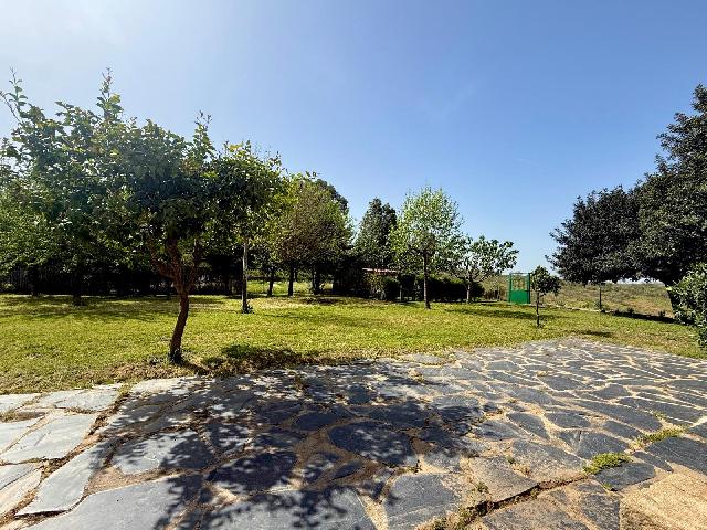 Imagen 11 Inmueble 302178 - Casa Rústica en venta en Plasencia / Finca Umbría de Matasanos