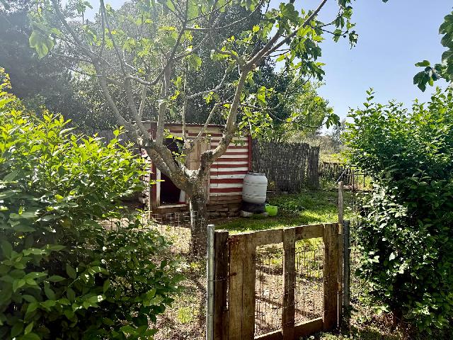 Imagen 13 Inmueble 302178 - Casa Rústica en venta en Plasencia / Finca Umbría de Matasanos