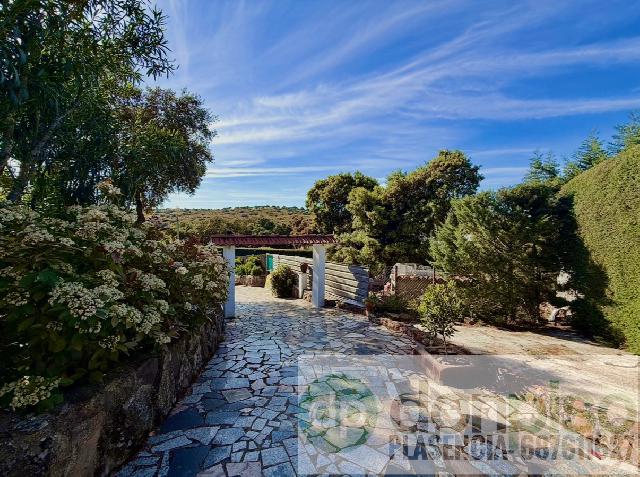 Imagen 12 Inmueble 302346 - Casa Rústica en venta en Plasencia / En la Carretera N630