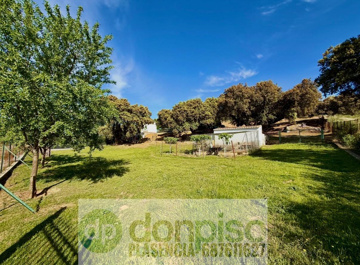 Imagen 16 Casa Rústica en venta en Plasencia / En la Carretera N630