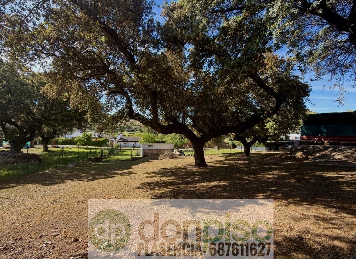 Imagen 20 Casa Rústica en venta en Plasencia / En la Carretera N630