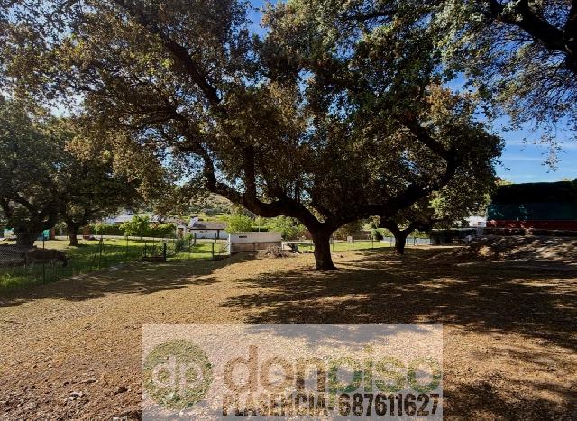 Imagen 20 Inmueble 302346 - Casa Rústica en venta en Plasencia / En la Carretera N630